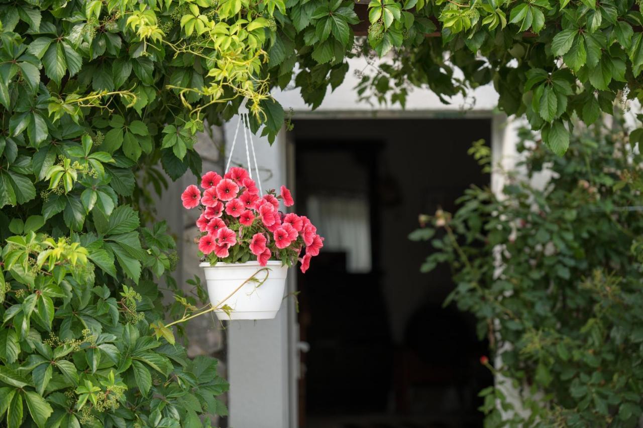 Kuca Za Odmor Joko I Jeka Villa Bogatic Ngoại thất bức ảnh